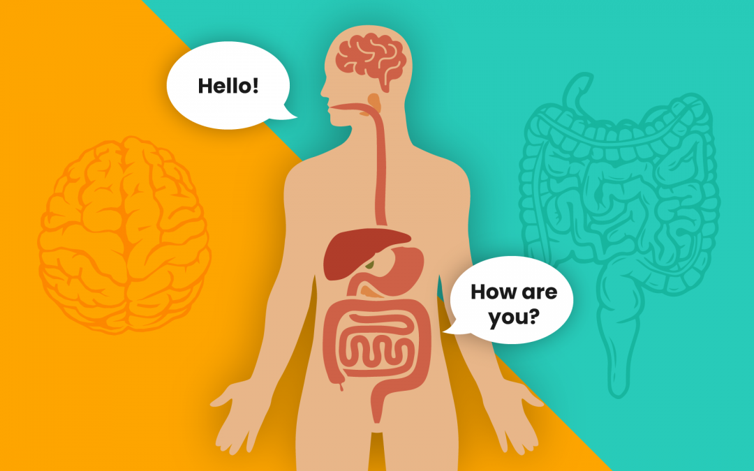 Gut Brain Axis and Your Mood