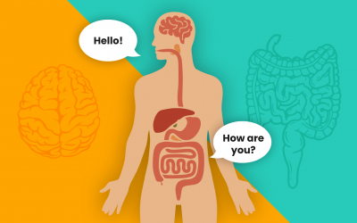 Gut Brain Axis and Your Mood