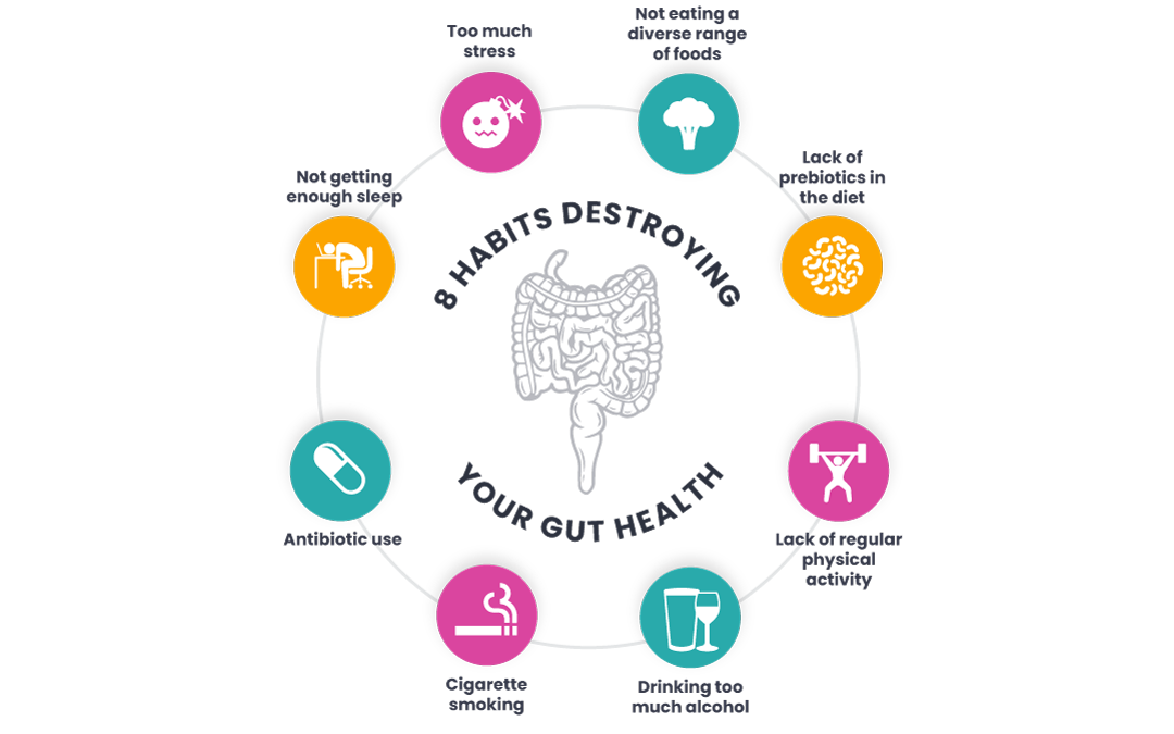 8 Lifestyle Habits Destroying Your Gut Health
